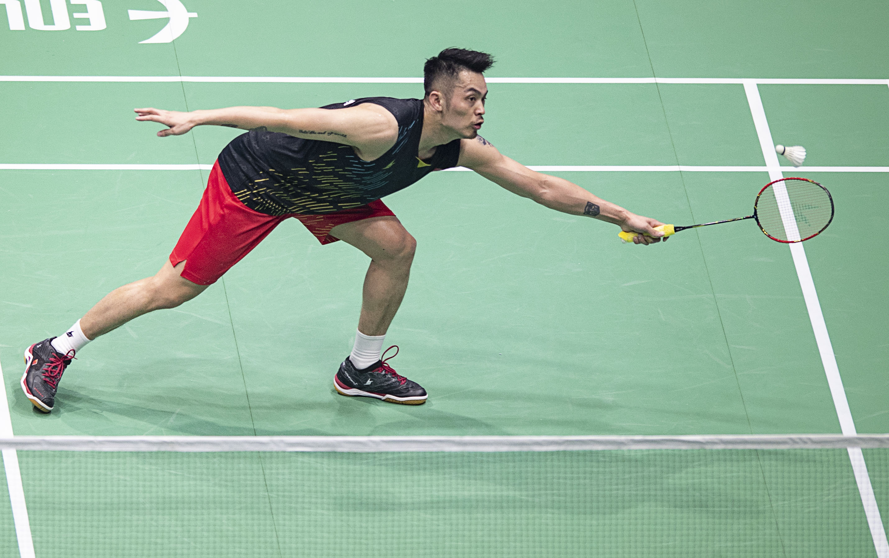 极具侵略性 极具侵略性